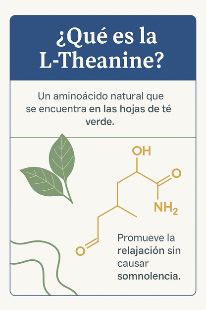 Suplemento Calma Natural- LTheanine